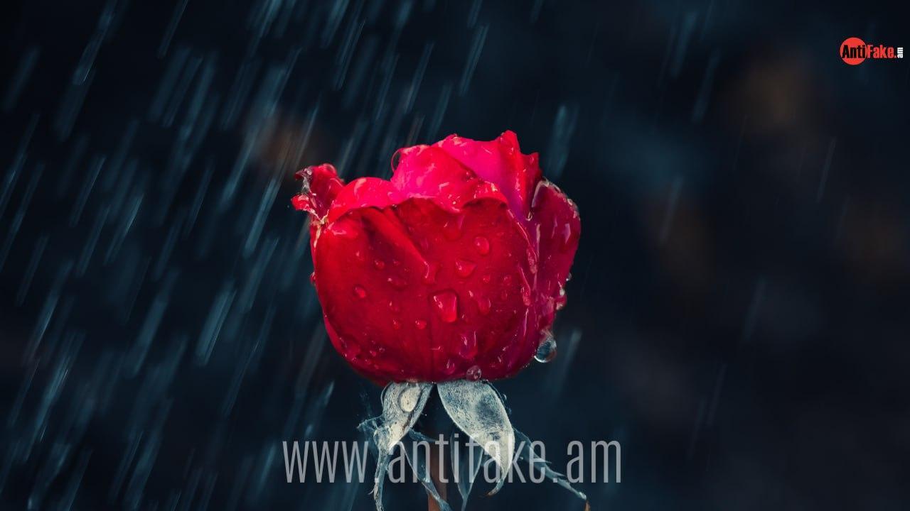 Սպասվում են կարճատև անձրև ու ամպրոպ