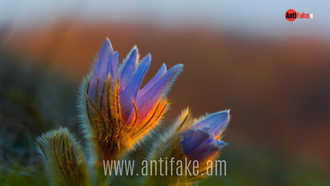 Օդի ջերմաստիճանն էապես չի փոխվի