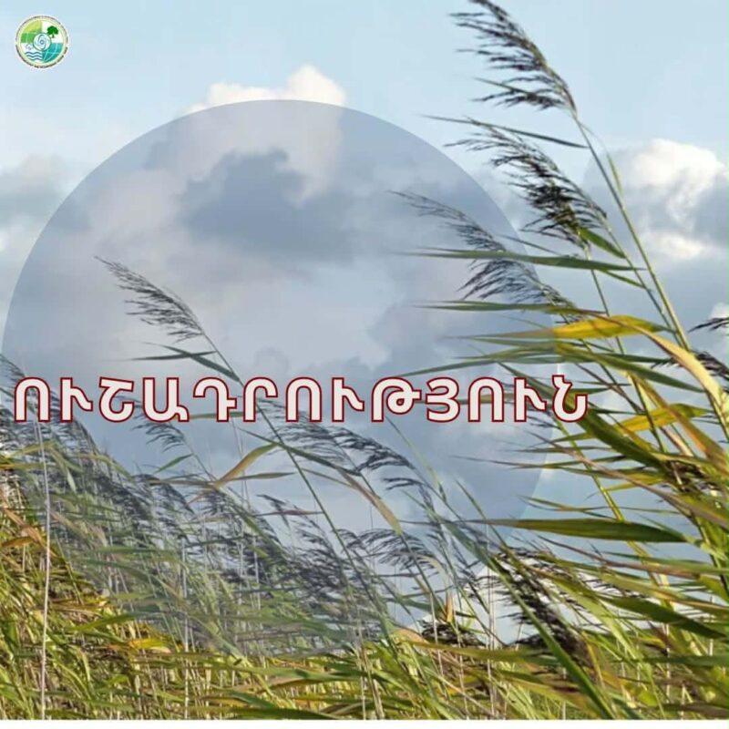 Զգուշացում. Հայաստանի մի շարք շրջաններում սպասվում է քամու ուժգնացում
