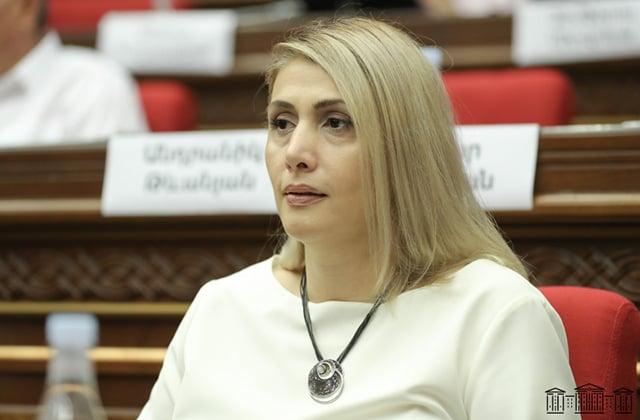 Բռնապետ լինելուց, լրբություն անելուց և վիրավորելուց բացի, նաև կանանց է քաշքշում. Էլինար Վարդանյանը` Փաշինյանի մասին