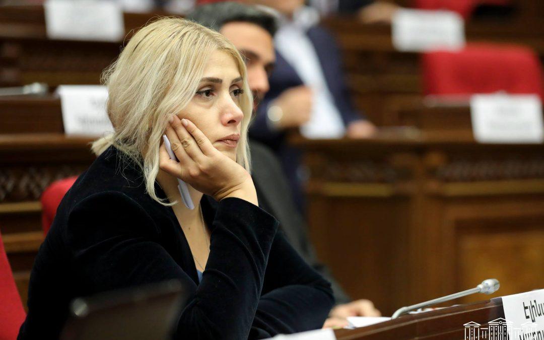 ԵԱՀԿ ԽՎ պատվիրակության հետ հանդիպման ենք գնալու մեծ փաթեթով. Էլինար Վարդանյան