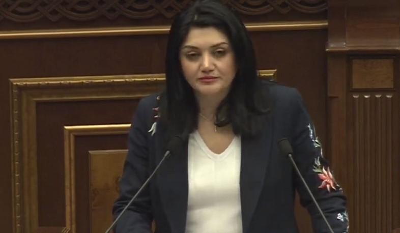 Ինչո՞ւ է Լենա Նանուշյանի անունը հանրային քննարկումների կենտրոնում հայտնվել. «Ժողովուրդ».