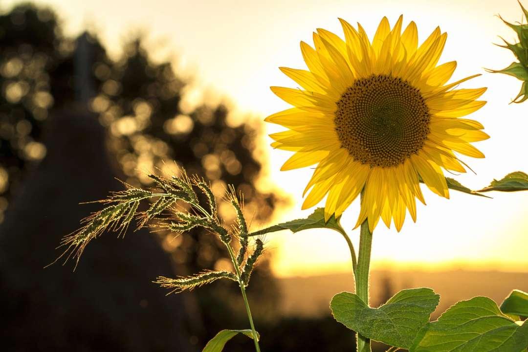 Օդի ջերմաստիճանը հուլիսի 3-ի ցերեկը կբարձրանա 1-2 աստիճանով