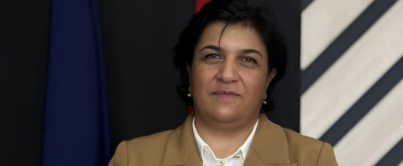Ո՞վ է և ի՞նչ ունեցվածք ունի ԱԺ նորաթուխ ՔՊ պատգամավոր Նելլի Բավեյանը․ «Ժողովուրդ»