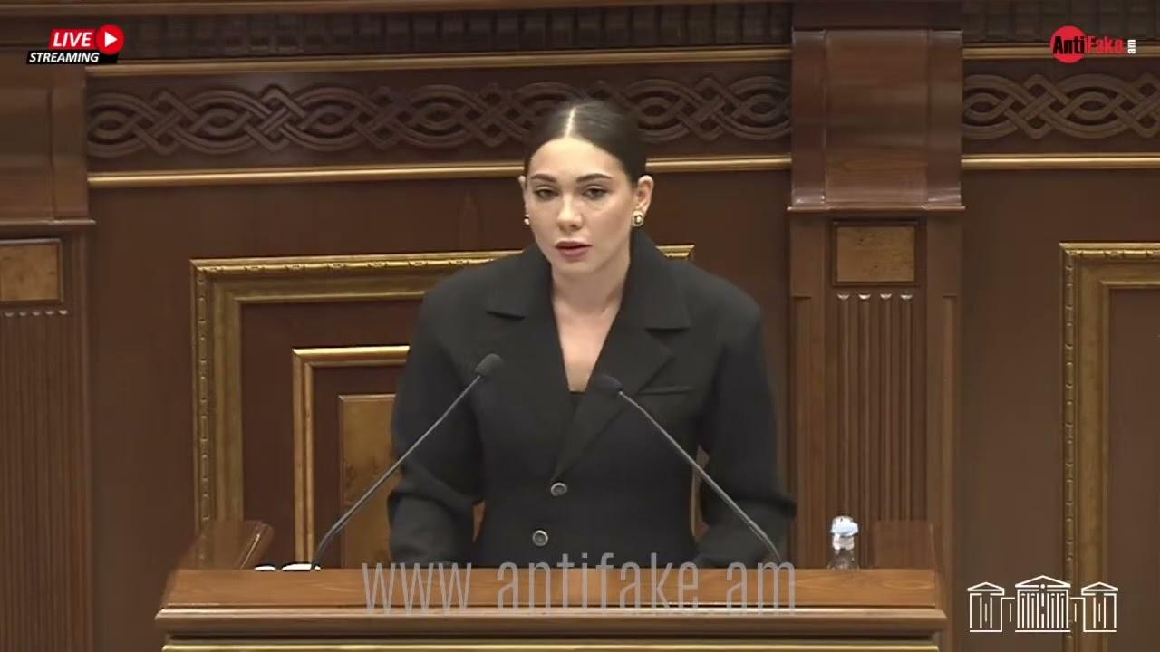 «Եթե օրենքը չընդունվի, առանց երդմա՞ն են մնալու»․ Տիգրան Աբրահամյանը՝ Սրբուհի Գալյանին