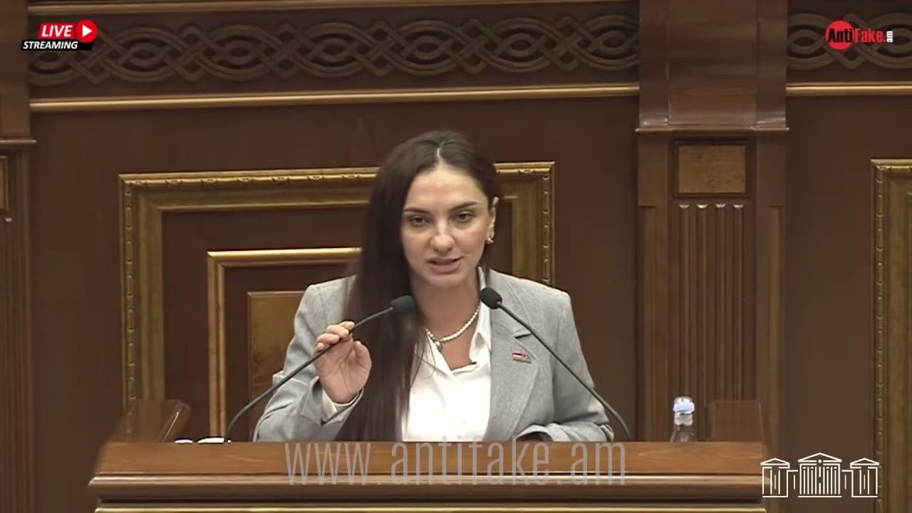 Դուք խնդիր ունեք «Հայրենիք» գաղափարի հետ. Արեգա Հովսեփյանը՝ ՔՊ-ին