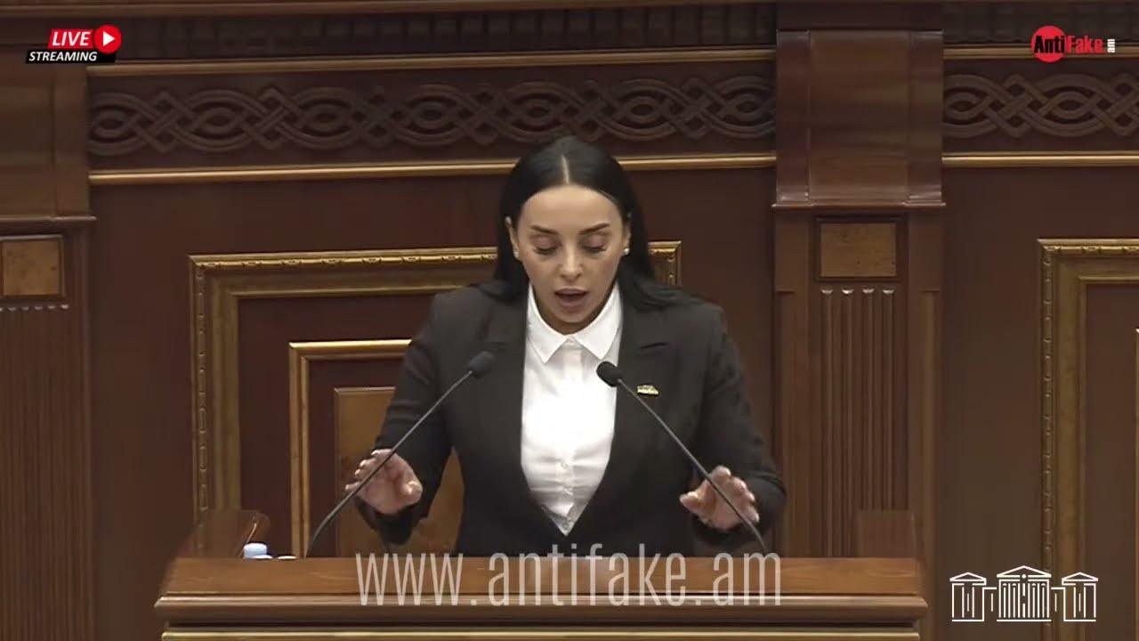 Ռուբինյանը անջատեց ընդդիմադիր պատգամավորի խոսափողը. «Այո', պատահական չեք փոխում երդման տեքստը»