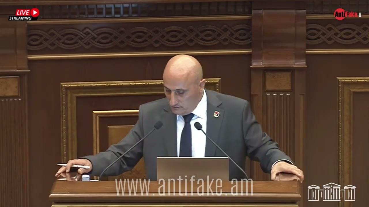 ԿԸՀ-ն դարձրել եք ՔՊ-ի շտաբը․ Ագնեսա Խամոյանը՝ Վահագն Հովակիմյանին